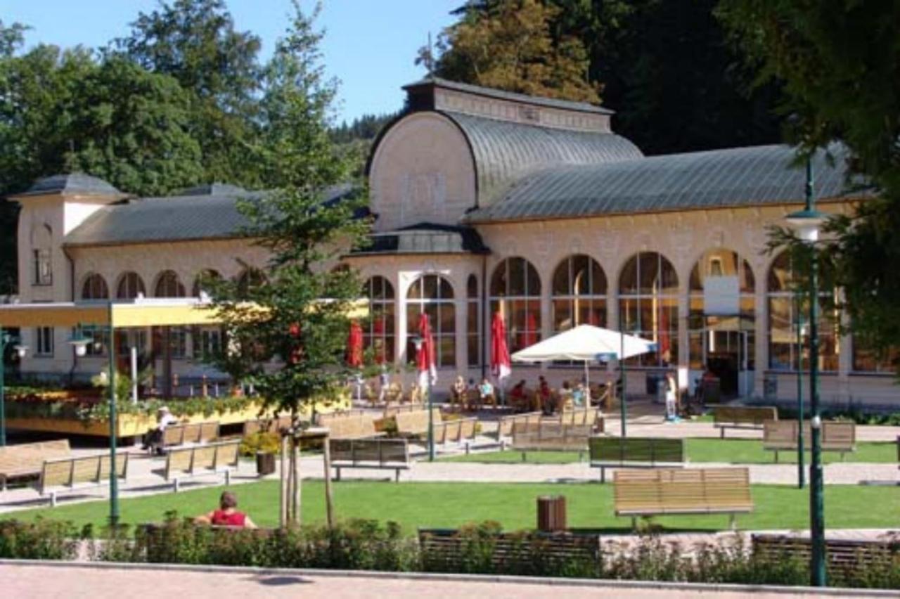 Žacléř Wellness Pension Iveta מראה חיצוני תמונה